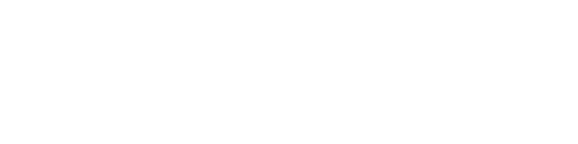アウセルの特長